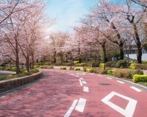 best time to visit tokyo