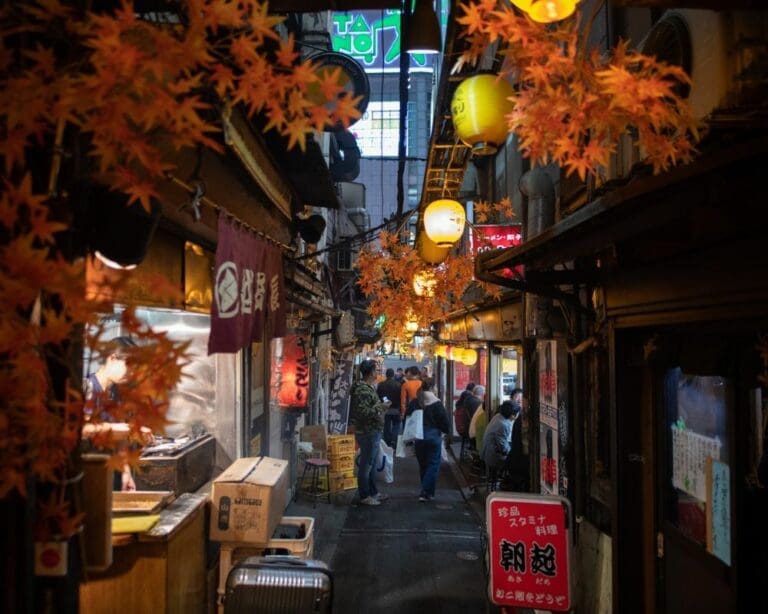 30 absolute best things to do in Shinjuku, Tokyo