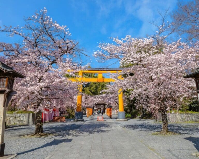 19 best spots to see the Osaka Cherry Blossoms [with dates and travel tips]