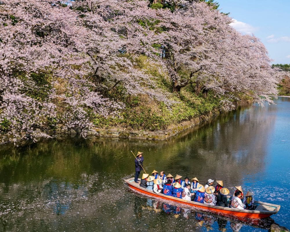 Cherry Blossom Japan Festivals