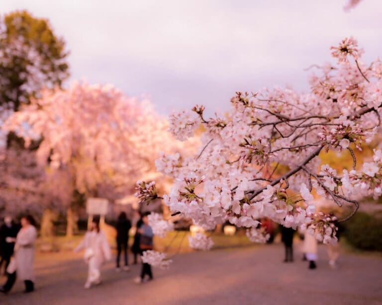 Is April a good month to visit Japan? Here’s everything you need to know